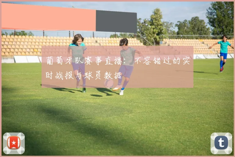 葡萄牙队赛事直播:不容错过的实时战报与球员数据