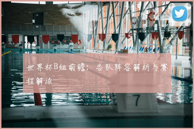 世界杯B组前瞻：各队阵容解析与赛程解读